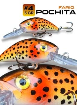 Pochita-fario-4cm-5gr